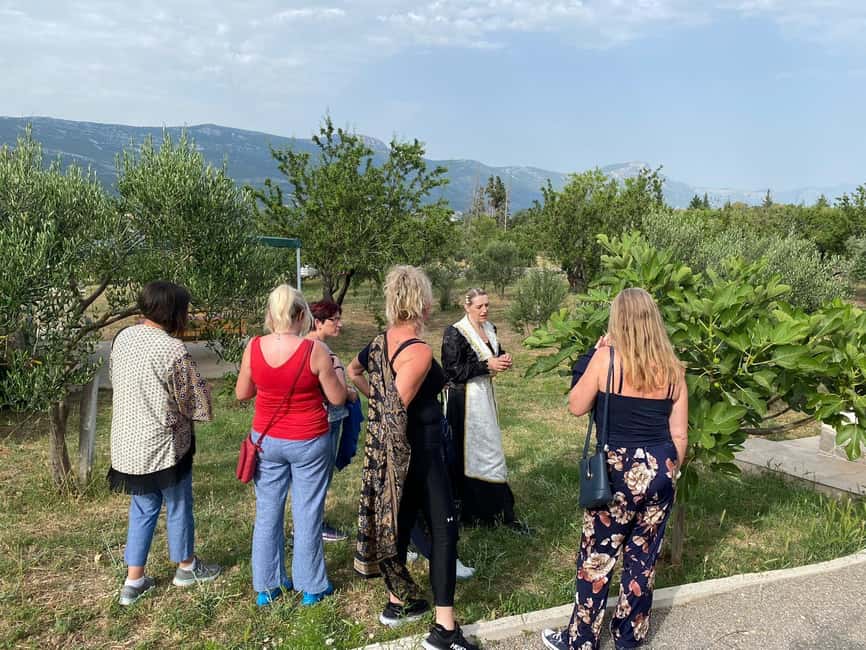 Kastela: Wine & Olive Tasting Tour w/Delicacies & Live Music - What to buy at the farm