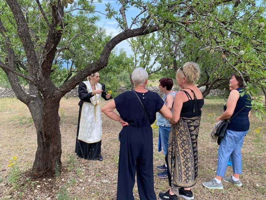 Kastela: Wine & Olive Tasting Tour w/Delicacies & Live Music - The orchard walk: olives, almonds, and wild herbs