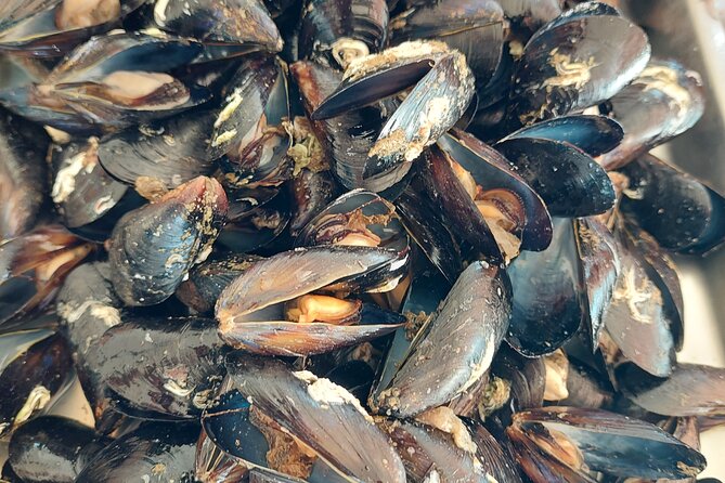 Kayaking and mussels tasting at Krka River estuary-private tours - What to bring to Zaton