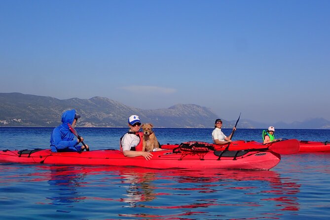 Kayaking Korčula's Paradise -Half Day Guided Kayak Tour - What to pack, including the snack question