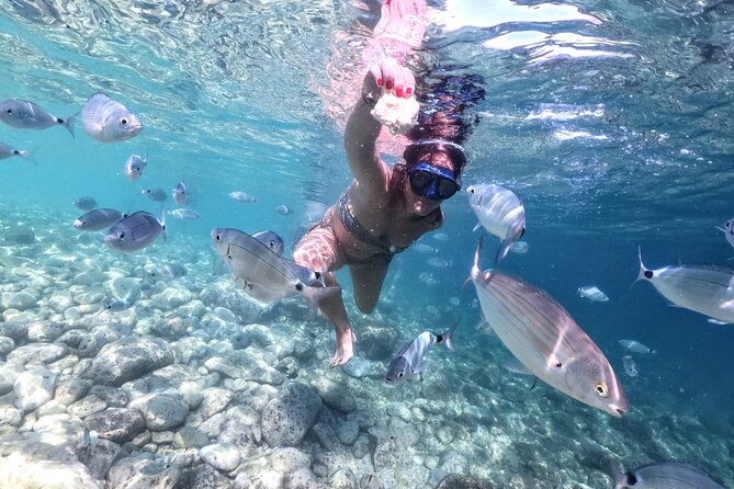 Kayaking to Island Saint Jerolim with snorkeling activitie - Who should choose this Pula outing?