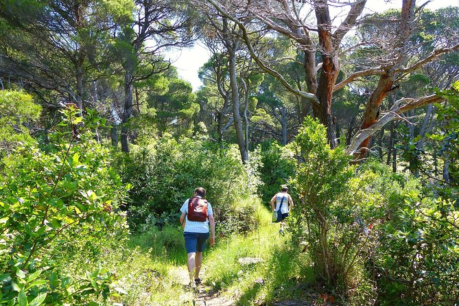Kolocep Island Hiking and Swimming Full Day Trip from Dubrovnik - Returning to Dubrovnik by ferry