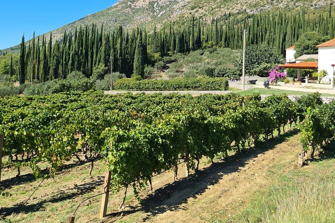 Konavle Gastro & Culture Tour (Private Tour) - What the private Mercedes ride changes