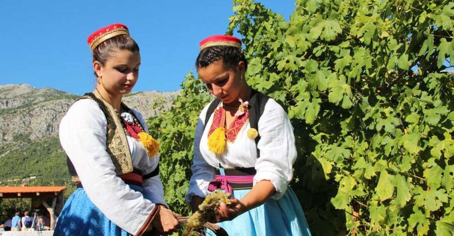 Konavle Valley: Private Half-Day Tour with Wine Tasting - From Dubrovnik to Konavle Valley