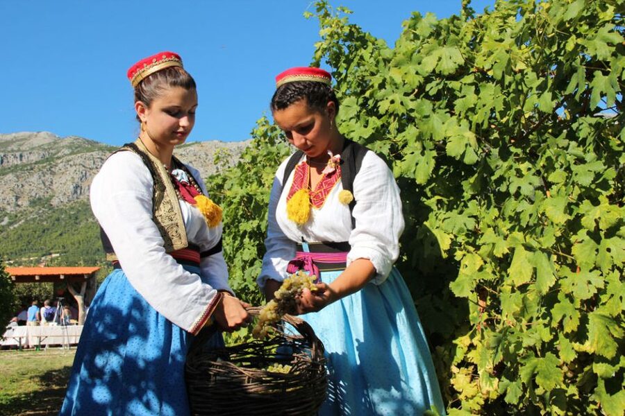 Konavle Valley: Private Half-Day Tour with Wine Tasting - A walk beside River Ljuta