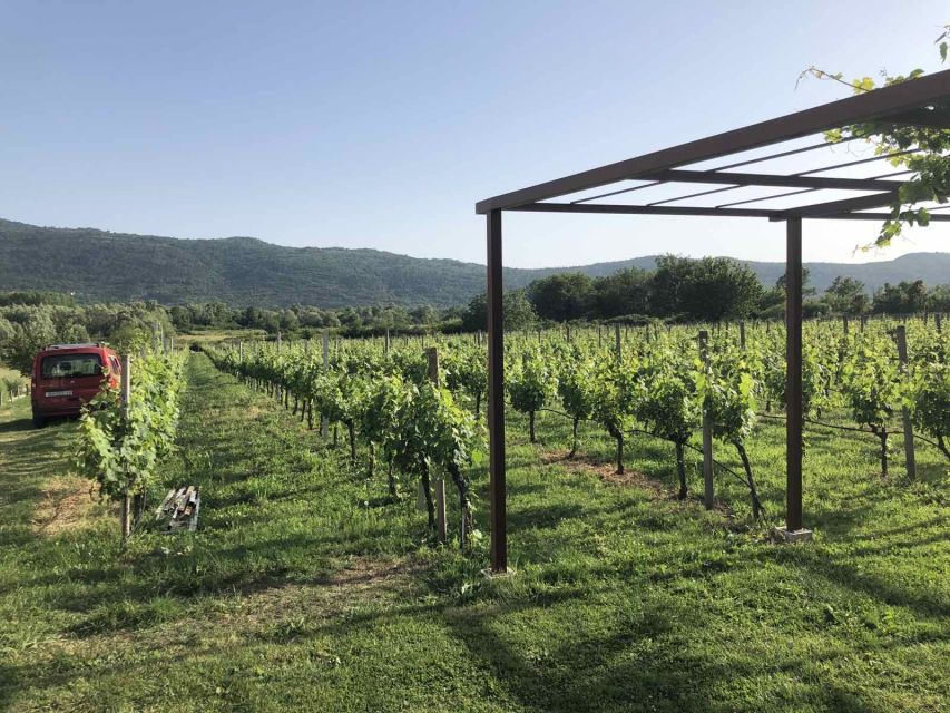 Konavle Valley: Private Half-Day Tour with Wine Tasting - My call: book it for the countryside and wine