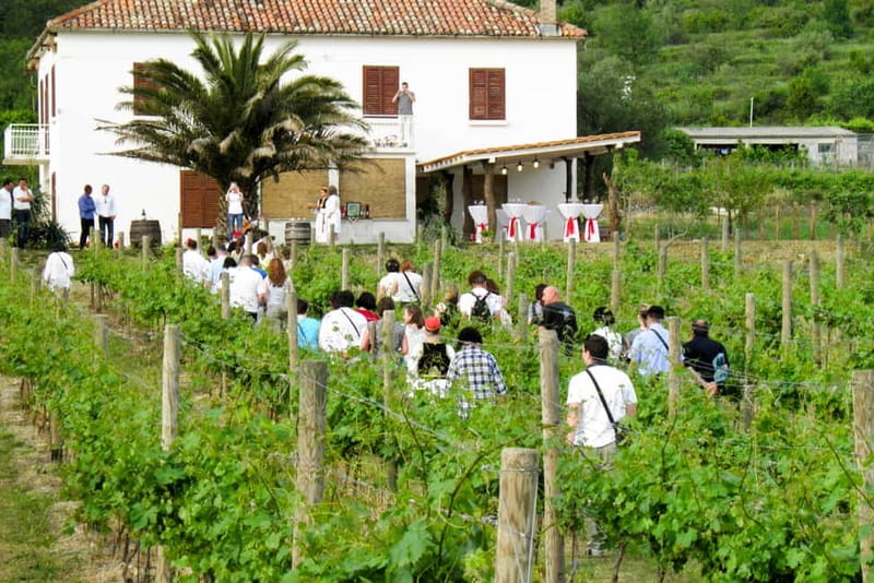 Konavle Valley: Tour with Wine Tasting from Dubrovnik - First village visit and the opening wine tasting