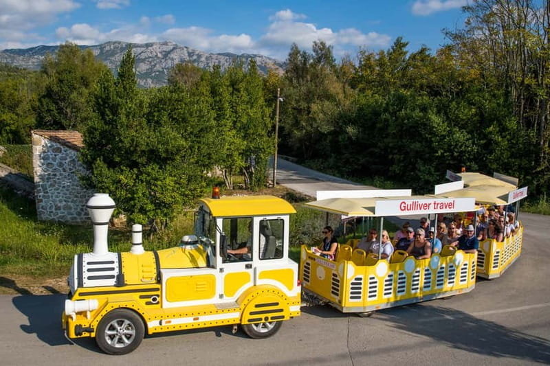 Konavle Valley: Tour with Wine Tasting from Dubrovnik - Wine, olive oil, and a very simple local snack