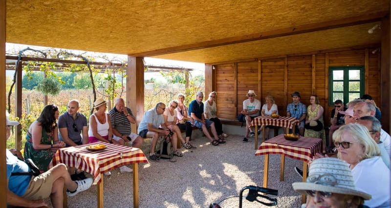 Konavle Valley: Tour with Wine Tasting from Dubrovnik - Is $104 a fair price?