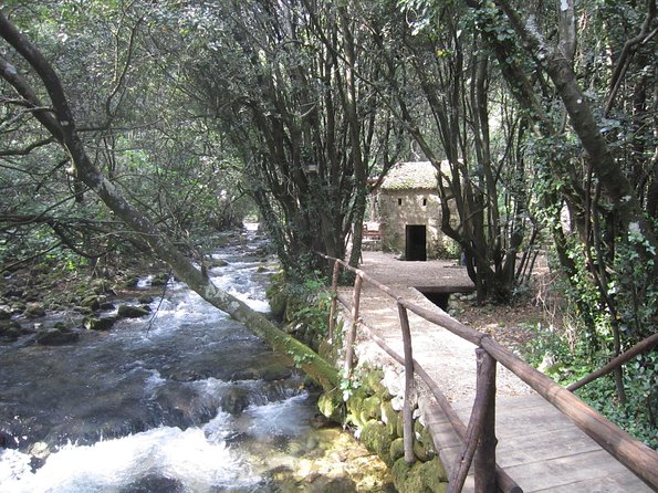 Konavle Valley Wine Tour from Dubrovnik with Train Ride and Wine Tasting - Ljuta’s water mill and wool-making traditions
