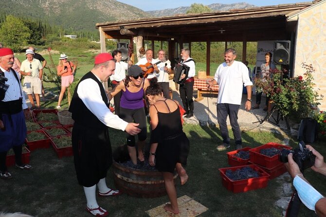 Konavle wine tasting tour from Dubrovnik with 2 vinery's - What the local wines add to the experience