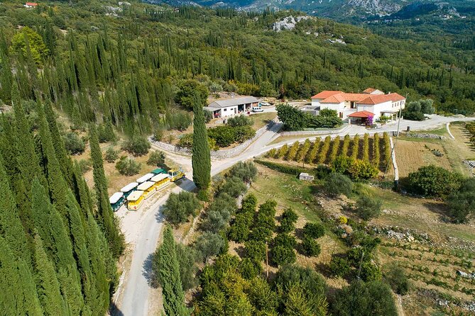 Konavle wine tasting tour from Dubrovnik with 2 vinery's - Practical details that can affect your day
