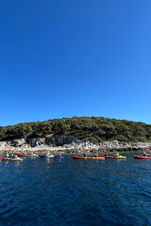 Korcula Archipelago Kayak Tour - Reaching caves, coves, and beaches by sea