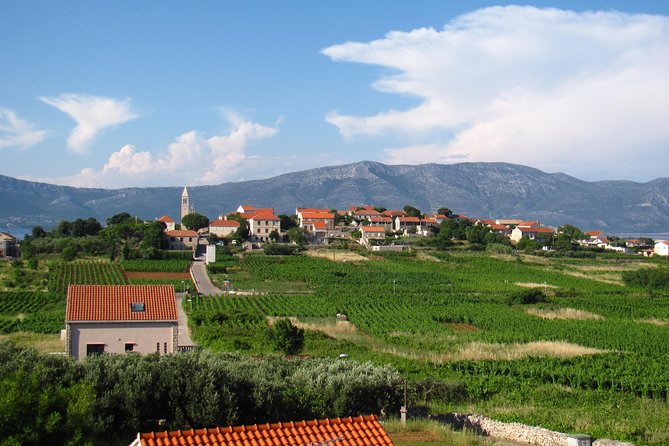 Korcula Bike & Wine Tour | Wine Tasting in Lumbarda - Food, wine, and a van ride back to Korcula