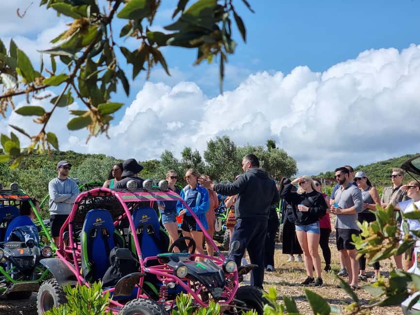 Korcula: Buggy Safari with Local Food and Wine Tasting - Is $129 a Fair Price?