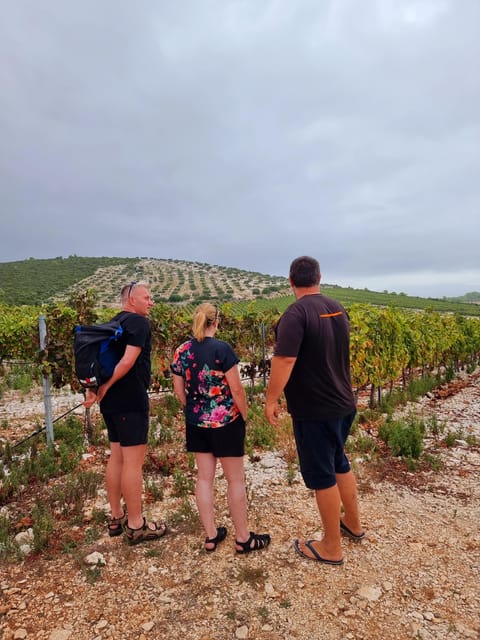 Korcula: Buggy Safari with Local Food and Wine Tasting - Who Will Enjoy This Most?