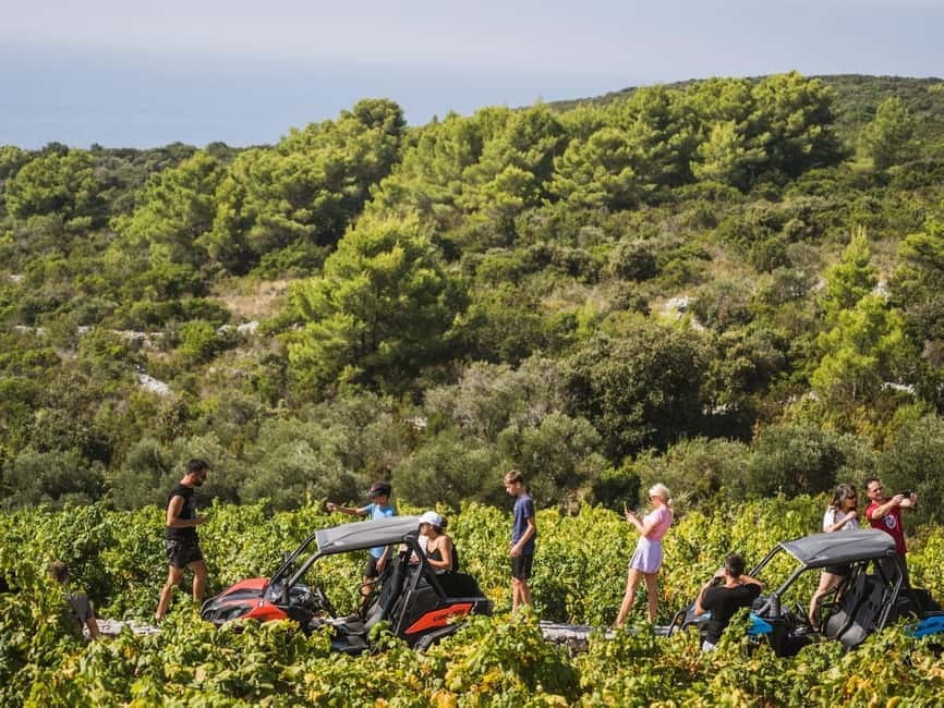 Korcula Buggy Safari With Wine Tasting - What the $129 price really buys you