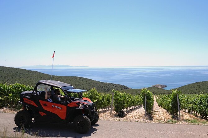Korcula Island Private Buggy Beach Hunting Safari with lunch - Korčula by buggy: key points to know