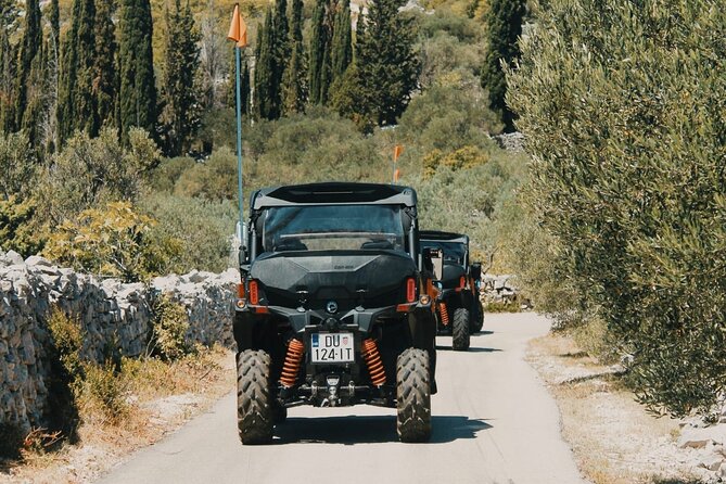 Korcula Island Private Buggy Beach Hunting Safari with lunch - How much value do you get for $419.39?