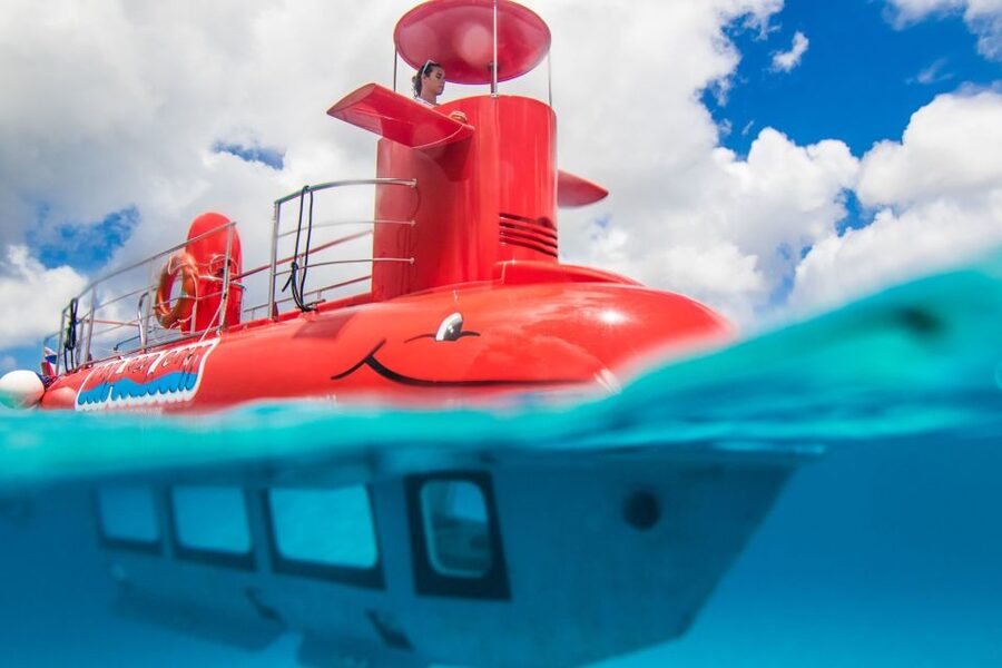 Korcula: Semi-Submarine Tour - Who will enjoy this most