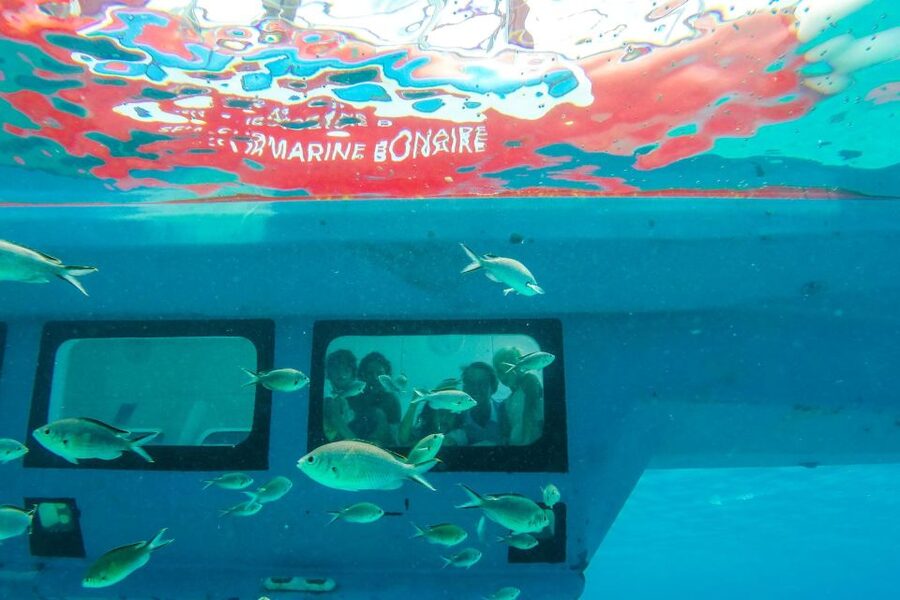 Korcula: Semi-Submarine Tour - Should you book Korcula’s semi-submarine?