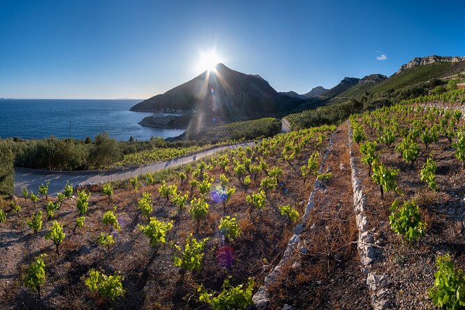 Korčula & Ston: Island Charms, Pelješac Delights & Wine Tasting - Who will enjoy this day most