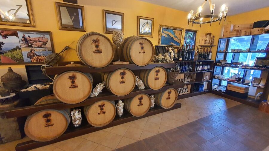 Korcula, Ston, Wine Tasting and Lunch - Tour from Dubrovnik - The price and what you really receive