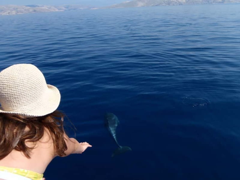 Krk:Rab & Pag Boat Trip with Swimming & City Tour with lunch - Why this Krk boat trip is more than a day on the water