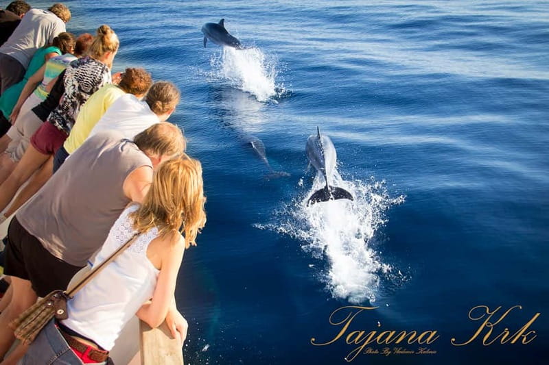 Krk:Rab & Pag Boat Trip with Swimming & City Tour with lunch - The return cruise to Krk