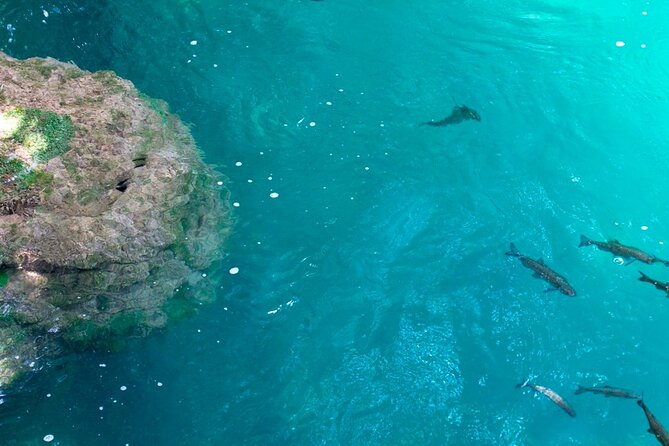 Krka Waterfalls Tour from Split with Boat Ride & Swimming - What You See Beyond the Waterfall