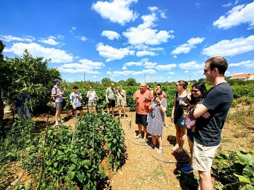 Krka waterfalls tour with lunch from Split - Practical advice for a smoother day