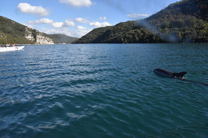 Lim Bay Outrigger Canoe Tour - How the itinerary fits the Istrian coast
