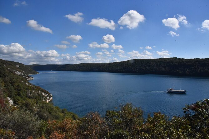 Lim Bay Outrigger Canoe Tour - Dolphins, marine life, and realistic expectations