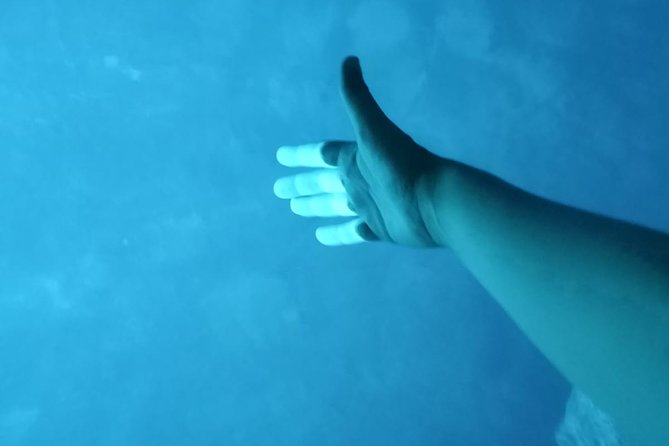Luxury Blue Cave, Hvar and Vis Boat Tour from Split and Brac - Swimming at Budikovac’s Blue Lagoon