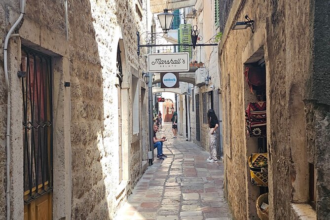 Luxury Day tour to Montenegro - Who should book this Montenegro day trip?