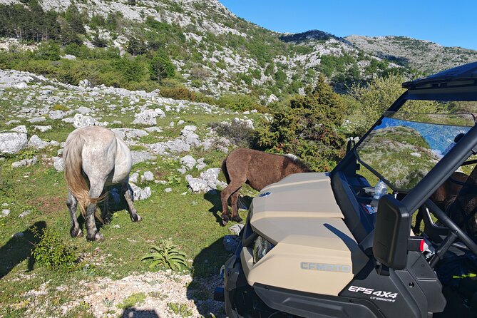 Makarska: Baggy Skywalk & Biokovo viewpoint Tour - Who should book this Biokovo outing