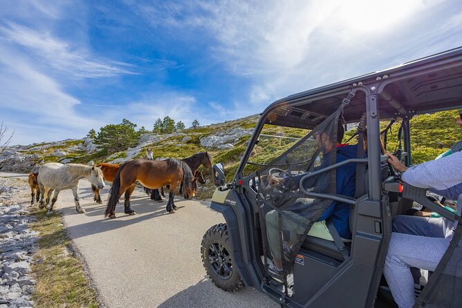 Makarska: Baggy Skywalk & Biokovo viewpoint Tour - The 850-meter viewpoint and the changing coastal view
