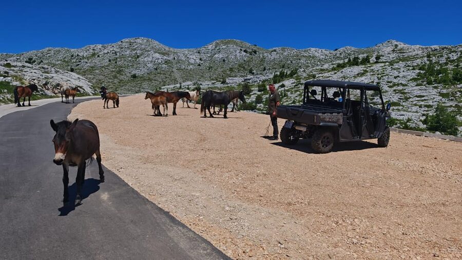 Makarska: Buggy Skywalk and Biokovo Tour - Who should book this Makarska adventure?