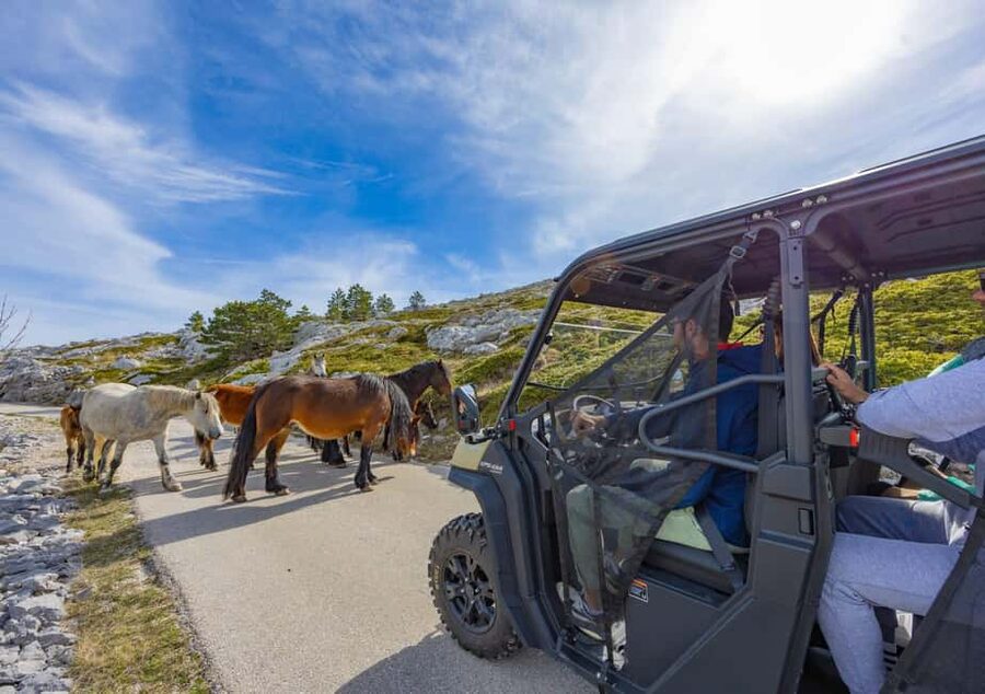 Makarska: Buggy Skywalk and Biokovo Tour - Wildlife and viewpoints along the buggy route