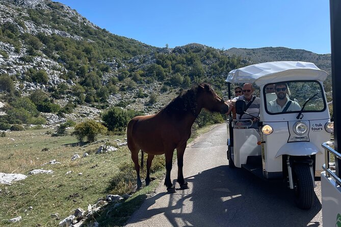 Makarska: Skywalk Tour with a Tuk Tuk - Skip the line ticket - Who will enjoy this outing most