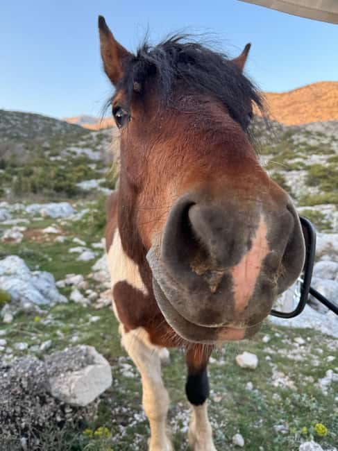 Makarska: Skywalk Tuk-Tuk Tour with Skip-the-Line Ticket - Stop 3: Aperitif, photographs, and a pause