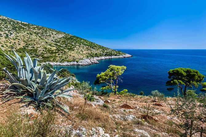 Mesmerizing Hvar speed boat tour with optional wine tasting - Comfort, supplies, and practical preparation