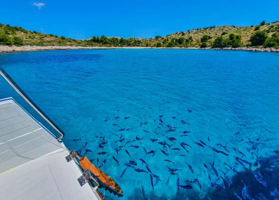 Mikado Kornati Excursion - Simple tips for making the day better