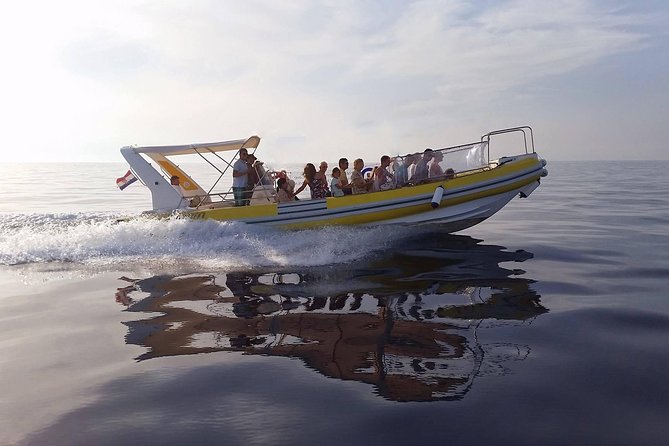 Mljet Island tour from Dubrovnik - Three Hours in Mljet National Park