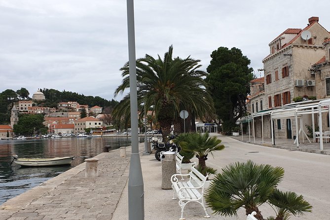 Mljet Island tour from Dubrovnik - Weather, Swimming, and the Right Expectations