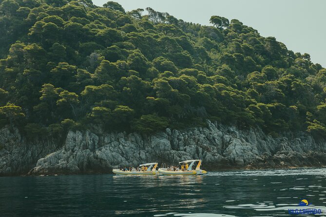 Mljet National Park trip - Pure Nature & Island Escape - Why Mljet makes a strong day trip from Dubrovnik