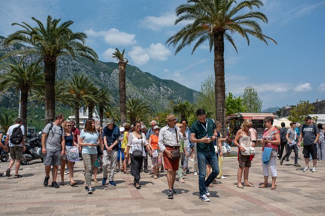 Montenegro: Bay of Kotor Day Trip from Dubrovnik English -Español - The road into Montenegro and the border crossing