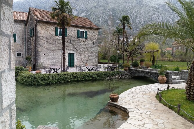 Montenegro Private Full Day Tour from Dubrovnik - Price, Timing, and Practical Value
