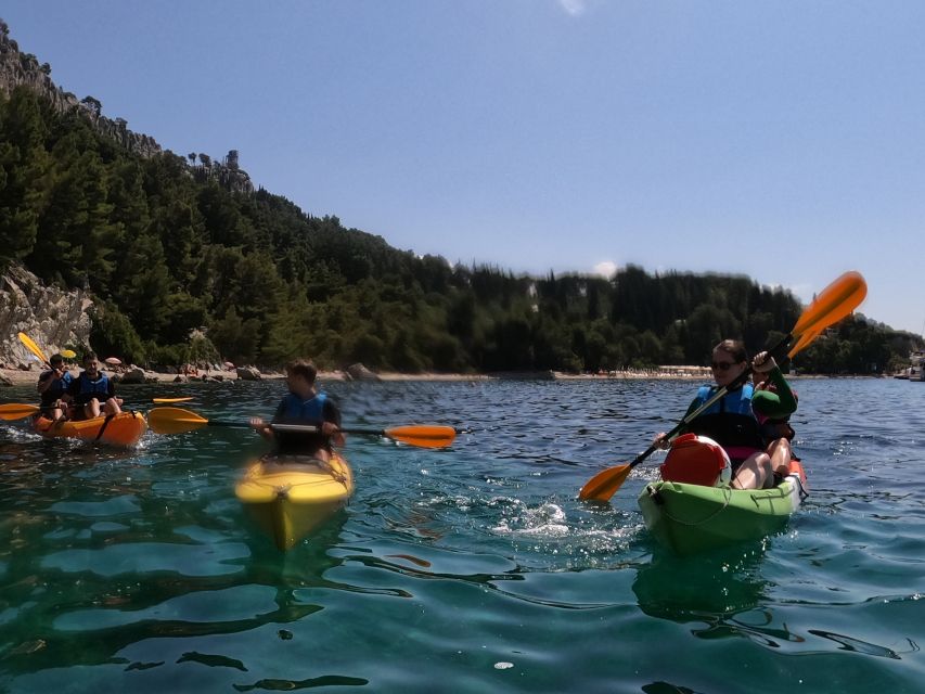 Morning Split Sea Kayaking Tour - What the $58 price includes