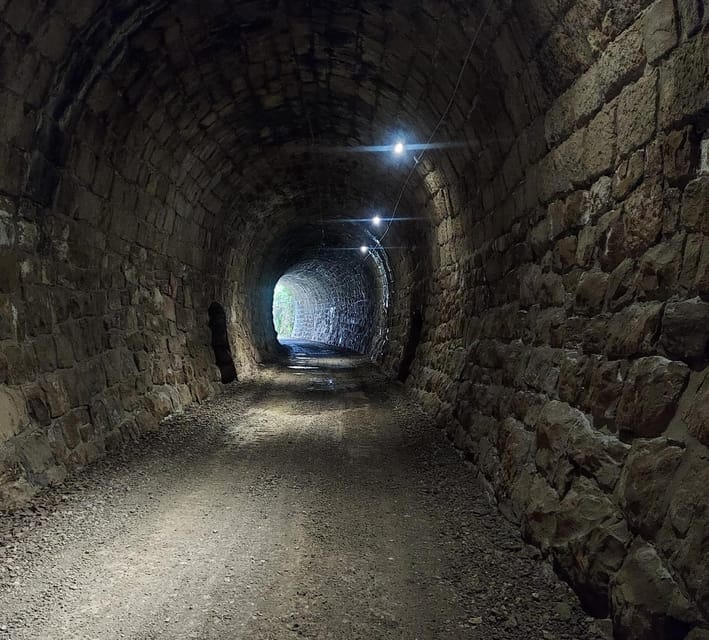 Motovun: The trail of Giants hiking tour & Fritule Tasting - Fritule with an Istrian touch